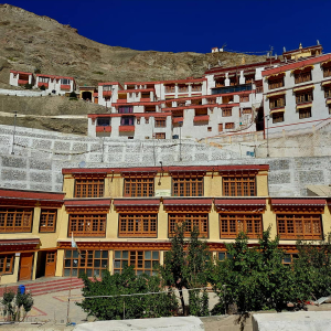 Ladakh6